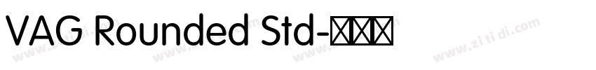 VAG Rounded Std字体转换